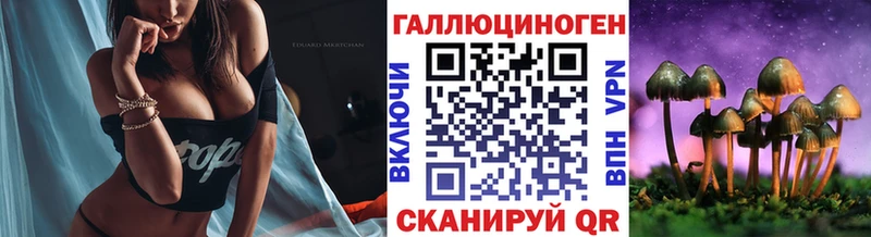 ОМГ ОМГ сайт  Мариинский Посад  Псилоцибиновые грибы Psilocybe 